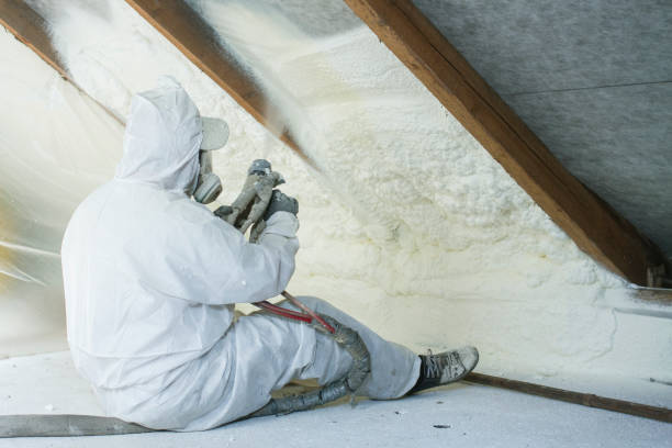 Best Insulation for New Construction  in Belterra, TX